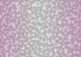 Shaded Backgrounds - Frosty Fingers - Baby Pink