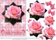 Pink Rose - Star Pyramid & Card Front - Anniversary