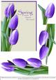 Tulips for Spring - Purple