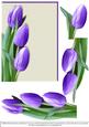 Tulips for Spring - Purple Blank