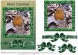 Christmas Robin with Holly Frame 2