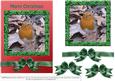Christmas Robin with Holly Frame 3