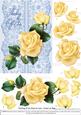 Roses on Lace - Cream on Blue - Thinking of You