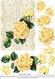 Roses on Lace - Cream on Cream