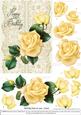 Roses on Lace - Cream on Cream - Birthday