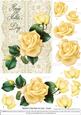 Roses on Lace - Cream on Cream - Mothers Day