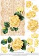 Roses on Lace - Cream on Peach