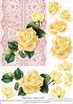 Roses on Lace - Cream on Pink