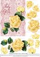 Roses on Lace - Cream on Pink - Thinking of You