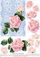 Roses on Lace - Pale Pink on Blue