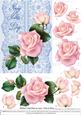Roses on Lace - Pale Pink on Blue - Mothers Day