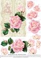Roses on Lace - Pale Pink on Cream - Birthday