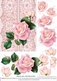 Roses on Lace - Pale Pink on Pink