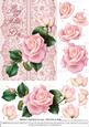 Roses on Lace - Pale Pink on Pink - Mothers Day