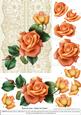Roses on Lace - Peach on Cream