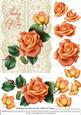 Roses on Lace - Peach on Cream - Thinking of You
