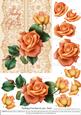 Roses on Lace - Peach on Peach - Thinking of You