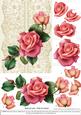 Roses on Lace - Pink on Cream