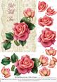 Roses on Lace - Pink on Cream - Get Well