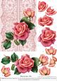 Roses on Lace - Pink on Pink