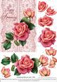 Roses on Lace - Pink on Pink - Anniversary