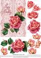 Roses on Lace - Pink on Pink - Birthday