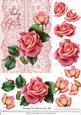Roses on Lace - Pink on Pink - Thinking of You