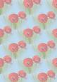 French Poppies - Large