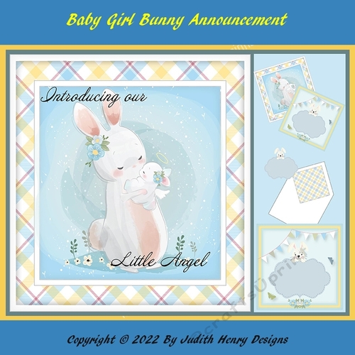Baby Boy Bunny Announcement