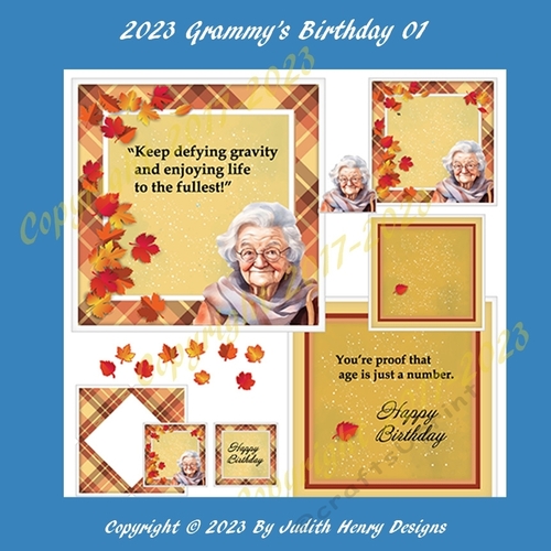 2023 Elderly Female Birthday 01 Card