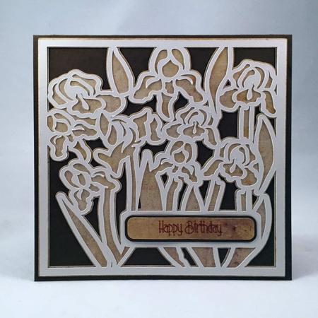 Iris Outline Card 1
