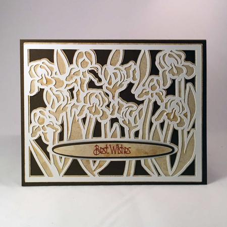 Iris Outline Card 2