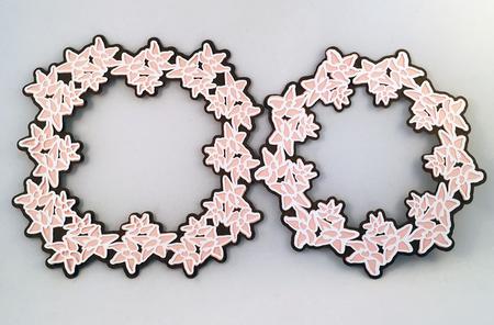Odontoglossum Orchid Frame