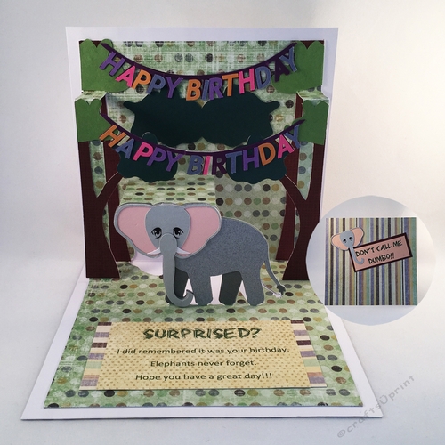 Elephant Never Forget Birthday Pop Up Card