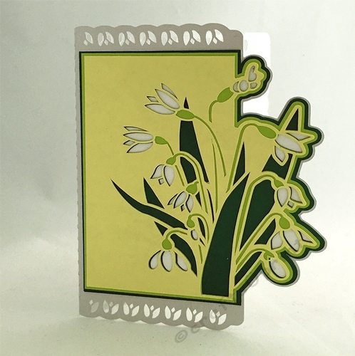Snowdrop - Layered Over The Edge