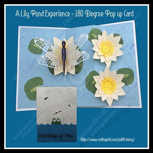 A Lily Pond Experience Pop Up Card - July Birthday Flower