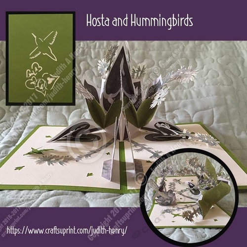 Hosta and Hummingbirds Pop Up Card