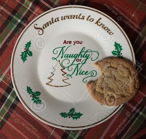 Santa wants to know - Christmas Plate