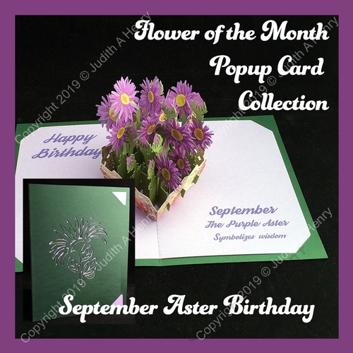 September Aster Birthday Pop Up Card