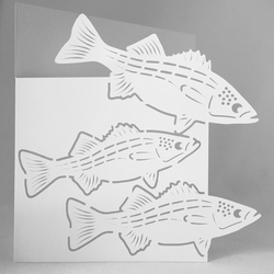 Image of cup697663_2228 - Fish Card 02 - Over The Edge Fish