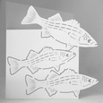 Fish Card 02 - Over The Edge Fish