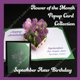 September Aster Birthday Pop Up Card