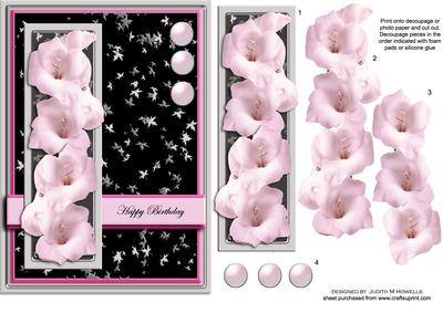 Pink and Black Floral Elegance