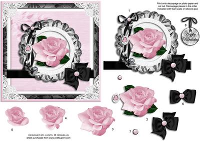Pink Rose on Black and White