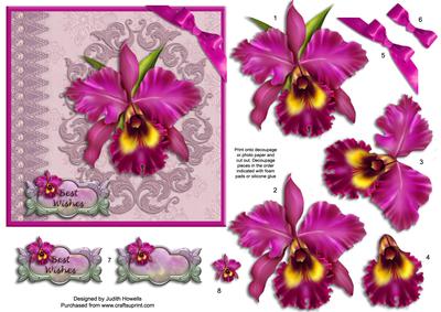 Beautiful Orchid and Embroidery