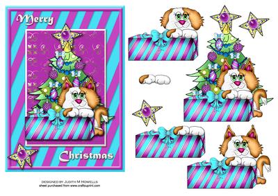 Christmas Cat with Gift Card Front