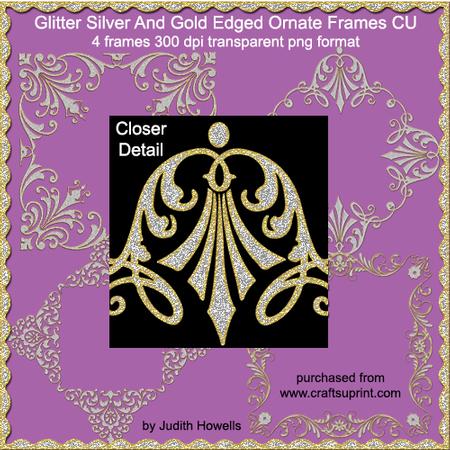 Glitter Silver and Gold Edged Ornate Frames