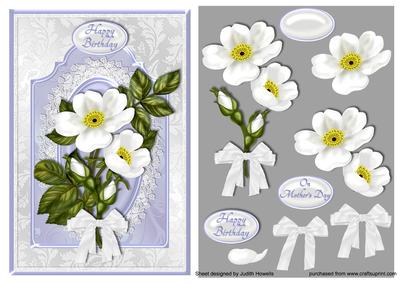 White Wild Roses Card Front