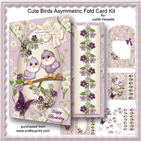Cute Birds Asymmetric Fold Card Kit