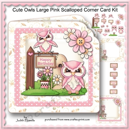 Cute Owls Large Pink Scalloped Corner Card Kit